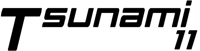 Berizzi-logo-tsunami11-pump