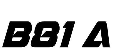 berizzi-B81A- automatic-spray-gun-logo