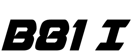 berizzi-B81I-automatic-airless-spray-gun-logo