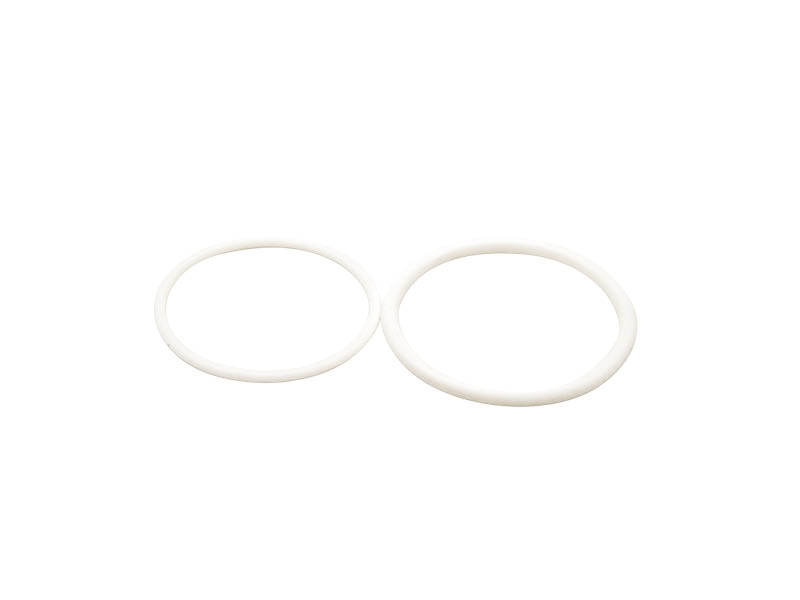 berizzi-PTFE-gaskets-compatible-with-wagner