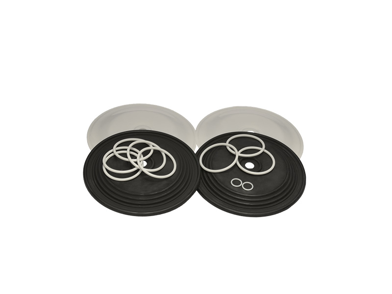 diaphragm-kit-and-gaskets-type-1050-graco