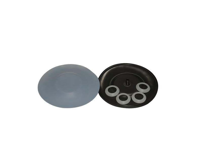 diaphragm-kit-and-gaskets-type-triton-and-graco