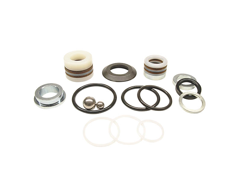 berizzi-repair-kit-guarnizioni-compatibile-graco