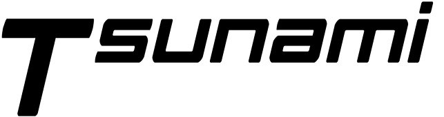 Berizzi-logo-tsunami-pump
