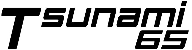 Berizzi-logo-tsunami65-pump
