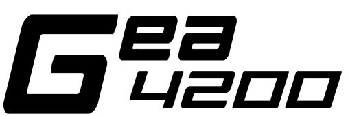 Berizzi-logo-gea4200-pump
