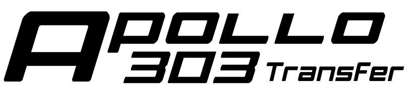 Berizzi-apollo303transfer-pump-logo